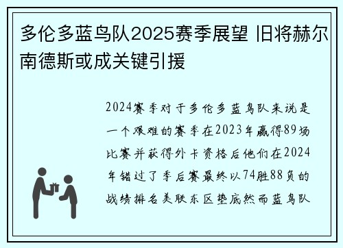 多伦多蓝鸟队2025赛季展望 旧将赫尔南德斯或成关键引援